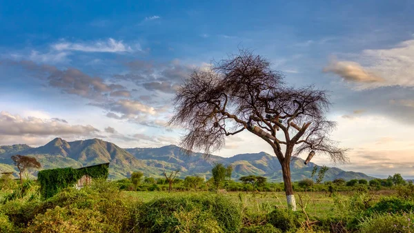 Paisaje Africano Cerca Arba Minch Etiopía Región Las Naciones Del —  Fotos de Stock