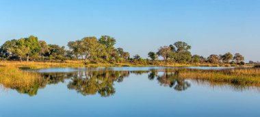 Tipik güzel Afrika manzarası, Caprivi Bulvarı 'ndaki Bwabwata Milli Parkı' ndaki vahşi nehir sudaki yansıması güzel. Namibya Afrika vahşi doğası.