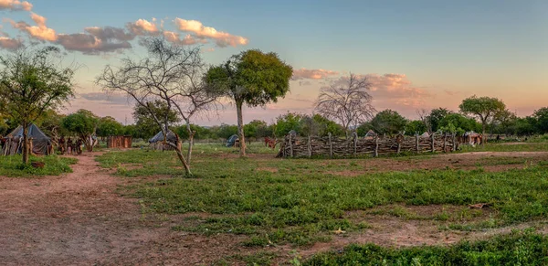 纳米比亚北部传统的非洲景观 村庄里有房屋 木制栅栏和牛栏 — 图库照片