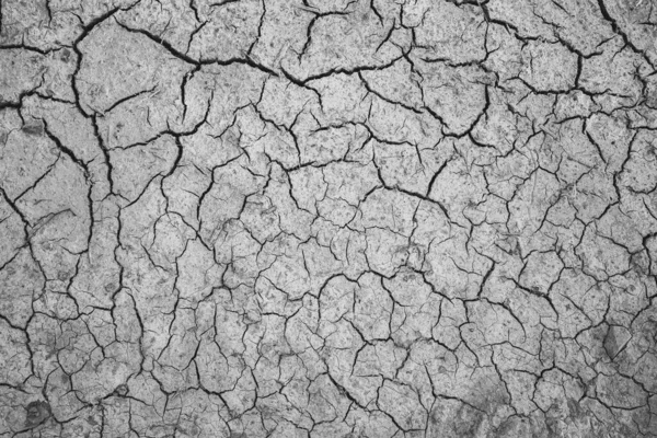 Текстура Сухой Трещины Почвы После Высушенной Лужи — стоковое фото