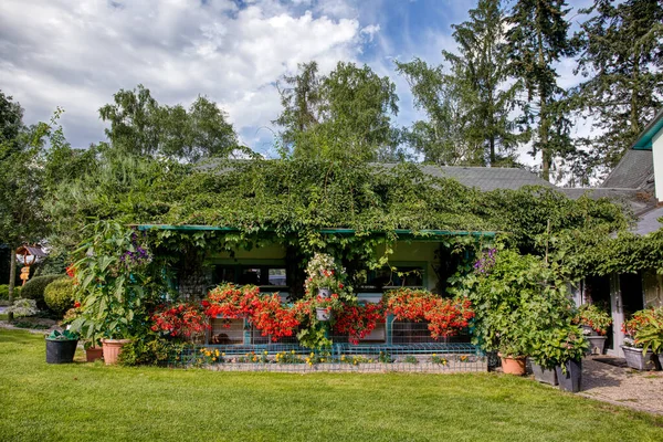 Prachtige Zomertuin Met Naaldbomen Groen Gras Avondzon Gesneden Gras Professionele — Stockfoto