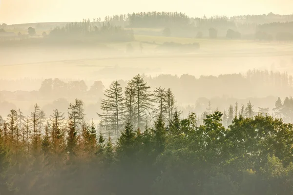 Jhlava Puklice Vysocina捷克共和国农村地区 雾蒙蒙 雾蒙蒙的乡村景观 日出时分 树型轮廓笼罩着 — 图库照片