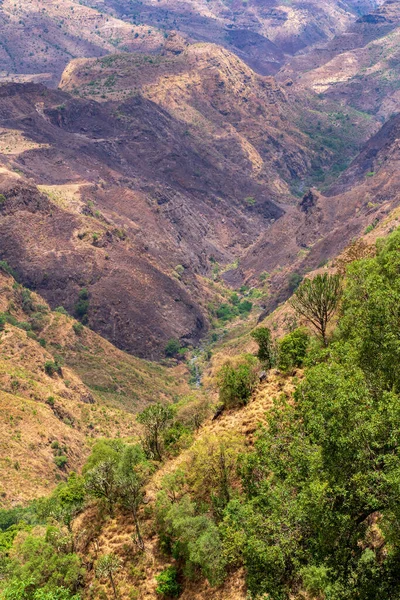 아름다운 협곡이나 공원의 경치는 근처에 아프리카 — 스톡 사진