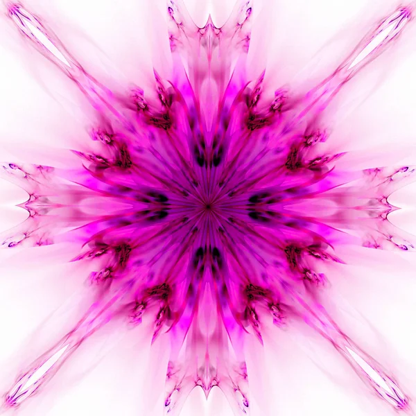Rózsaszín Absztrakt Virágos Háttérkép Háttér Kaleidoszkóp — Stock Fotó