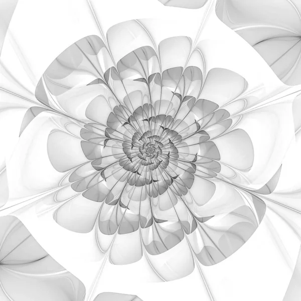 Flor Abstracta Gris Fondo Fractal —  Fotos de Stock