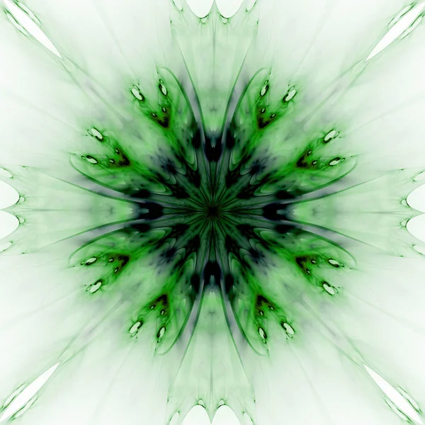 绿色抽象花卉壁纸 万花筒背景 — 图库照片