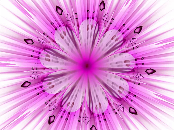 Abstrakt Fraktal Bakgrund Blommig Mandala — Stockfoto