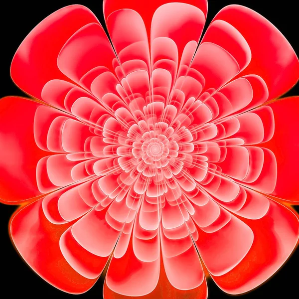 abstract flower. Fractal background