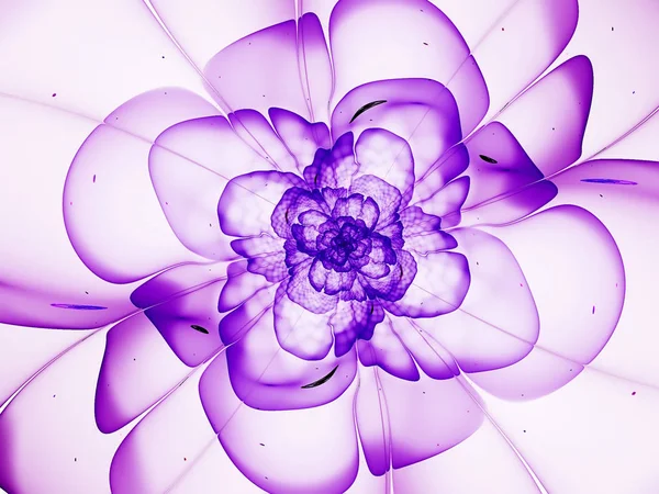 Абстрактний Фрактальний Квітковий Барвистий Фон — стокове фото