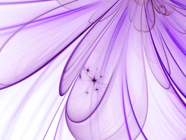 Púrpura Abstracto Flores Pétalos Patrón Fondo Gráfico — Foto de Stock