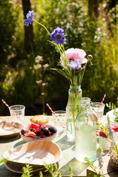 Mesa Pronta Para Piquenique Com Frutas Frescas Bebidas Saladas — Fotografia de Stock