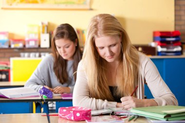 Sınıfta birlikte ders çalışan iki çekici genç.