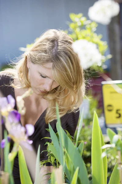 Vacker Blond Kvinna Checkar Nya Växter Plantskolan — Stockfoto
