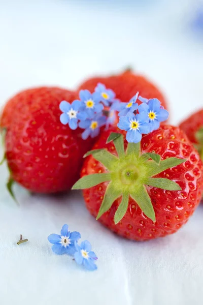 Three Strawberries Small Forget Flowers — Stock Photo, Image
