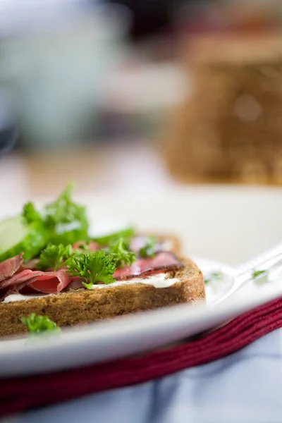 Delizioso Panino Sano Dof Poco Profondo Con Arrosto Manzo Cetriolo — Foto Stock