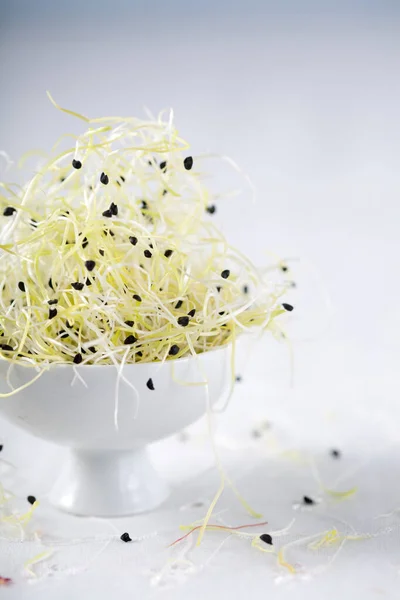 Pretty Leek Sprouts Together Tiny Bowl — Stock Photo, Image