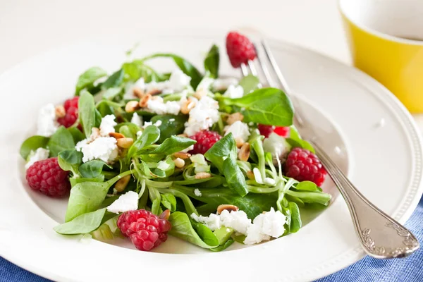 Ensalada Fresca Deliciosa Con Lechuga Verde Frambuesas Feta —  Fotos de Stock