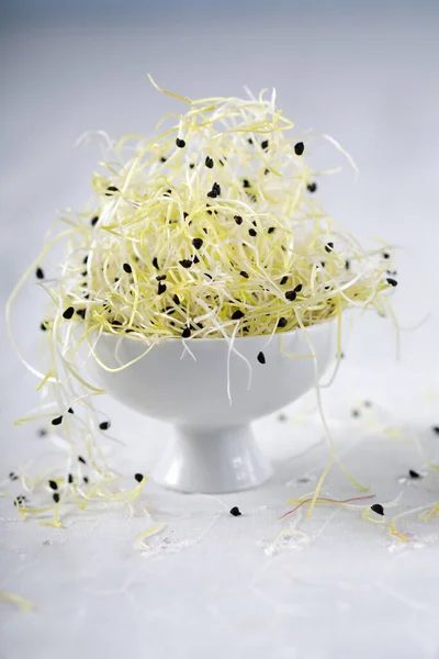 Delicious Fresh Sprouts Leek — Stock Photo, Image