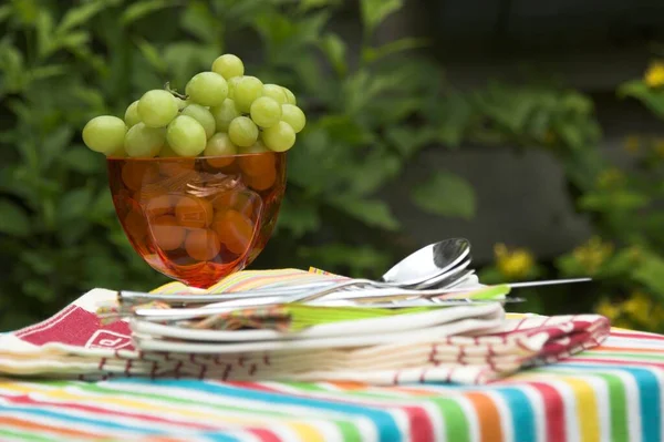 酒杯上的葡萄 桌上野餐 — 图库照片