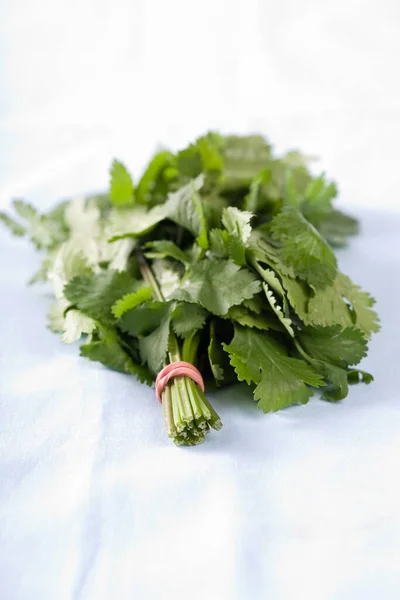 Bunch of coriander leaves on white surface table