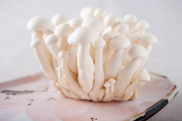 Delicate Shimeji Mushrooms Bunched Together — Stock Photo, Image