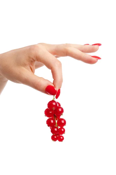 Vrouwelijke Hand Met Lange Rode Nagels Die Rode Aalbessen Vasthouden — Stockfoto