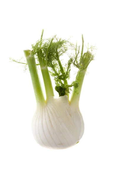 Frischer Fenchel Auf Weißem Hintergrund Isoliert Stockfoto