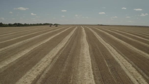 Press straw machine — Stock Video