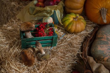 1 görüntüde potansiyel olarak kayıp olan model sürümü - sunumdan çıkarıldı