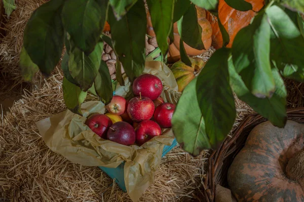 Apples Wooden Crate Straw Pumpkins Walnuts — Stock Photo, Image