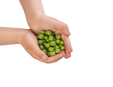 Bu çocukların elindeki yeşil bezelye..