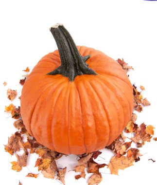 Taze balkabağı ve sonbahar yaprakları