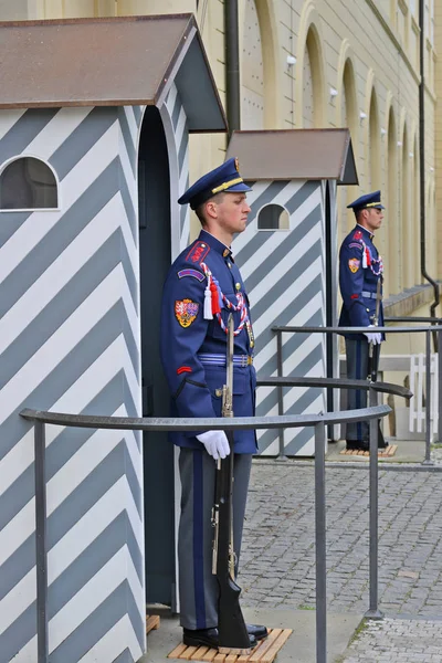 Prag Tschechische Republik Mai 2018 Ehrengarde Eingang Zur Prager Burg — Stockfoto