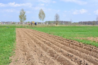 çiftçilik sonra bahar alan
