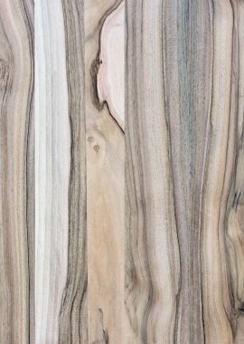 Ahşap panel ahşap bir parçası. Ceviz.