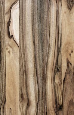 Ahşap panel ahşap bir parçası. Ceviz.