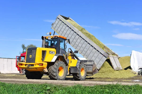 Kalush Ukraine Septembre 2017 Remplissage Tranchée Ensilage Maïs Dans Une — Photo