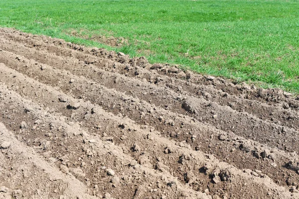 Spring Field Ploughing — Stock Photo, Image