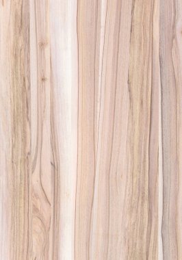 Ahşap panel ahşap bir parçası. Ceviz.