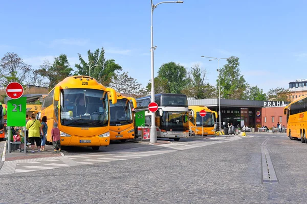 Prague República Checa Abril 2018 Ônibus Regiojet Plataforma Pouso Central — Fotografia de Stock