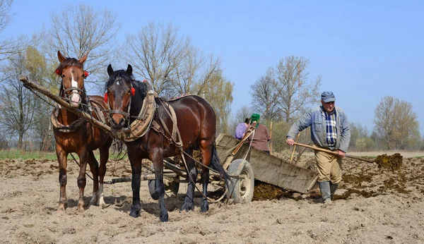 Kalush Ukraine Avril Fertilisation Sol Avec Fumier Dans Champ Près — Photo