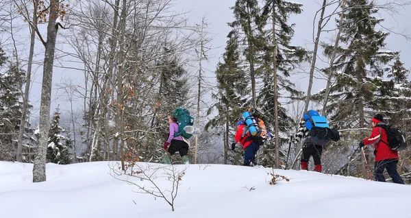 Ukrayna Osmoloda Şubat 2018 Turist Bir Grup Içinde Bir Kış — Stok fotoğraf