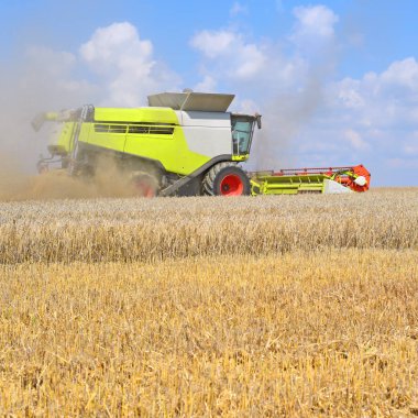 Buğday tarlasında çalışan hasatçıyı birleştirin, kırsal alanda hasat yapın.