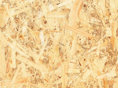 나무의 눌러진된 폐기물에서 접시의 조각. 