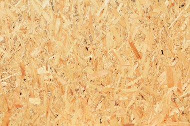 나무의 눌러진된 폐기물에서 접시의 조각. 