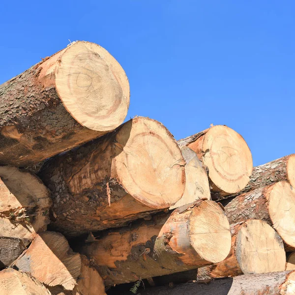 Aufbereitung Und Holzlagerung Einer Industriellen Landschaft — Stockfoto