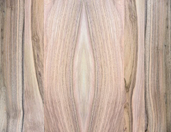 Fragmento Panel Madera Frondosas Nogal — Foto de Stock
