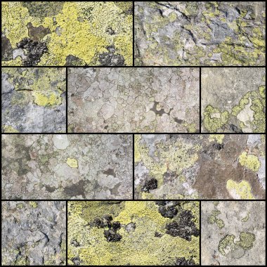 Liken yüzeyi ile dekoratif taştan bir duvar parçası.