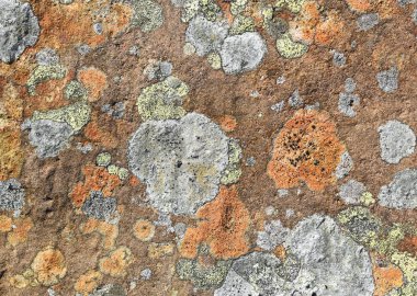 Liken yüzeyi ile dekoratif taştan bir duvar parçası.