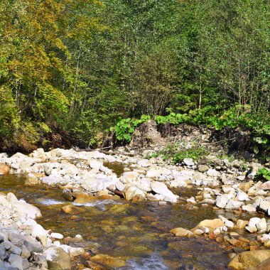 Yaz manzara dağ dere.
